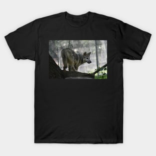 Wolf Pup T-Shirt